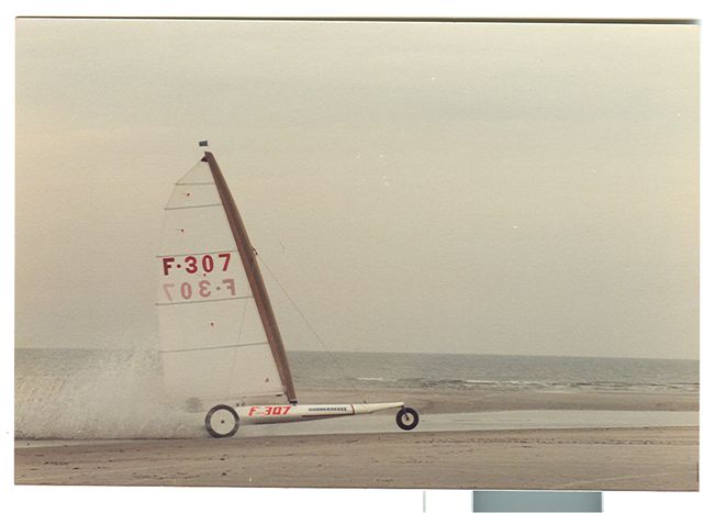 Shark_CE_1984_St_Peter_proto_shark_Ording