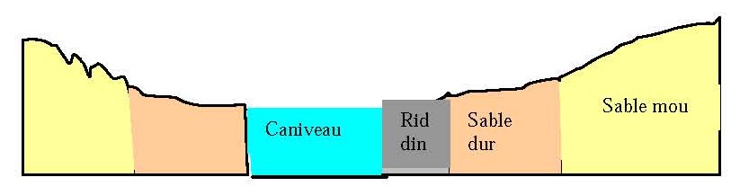 Image_5_N3