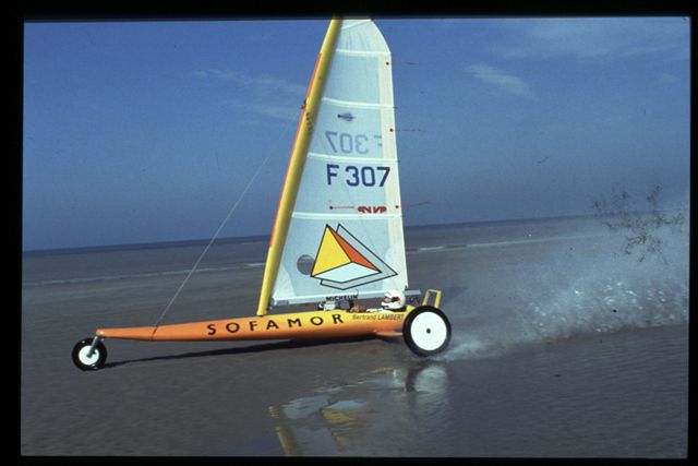 shark_1992